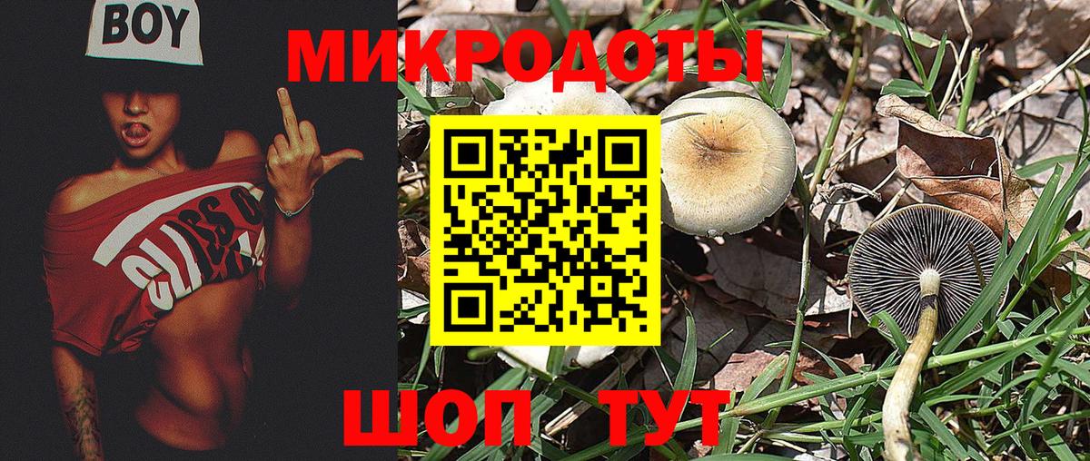 Вышний Волочёк  Псилоцибиновые грибы Magic Shrooms  Псилоцибиновые грибы прущие грибы  Вход с VPN 