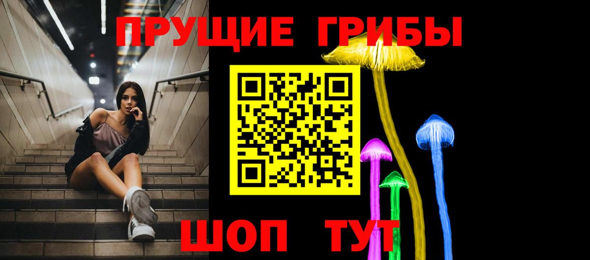 Псилоцибиновые грибы мухоморы Вышний Волочёк
